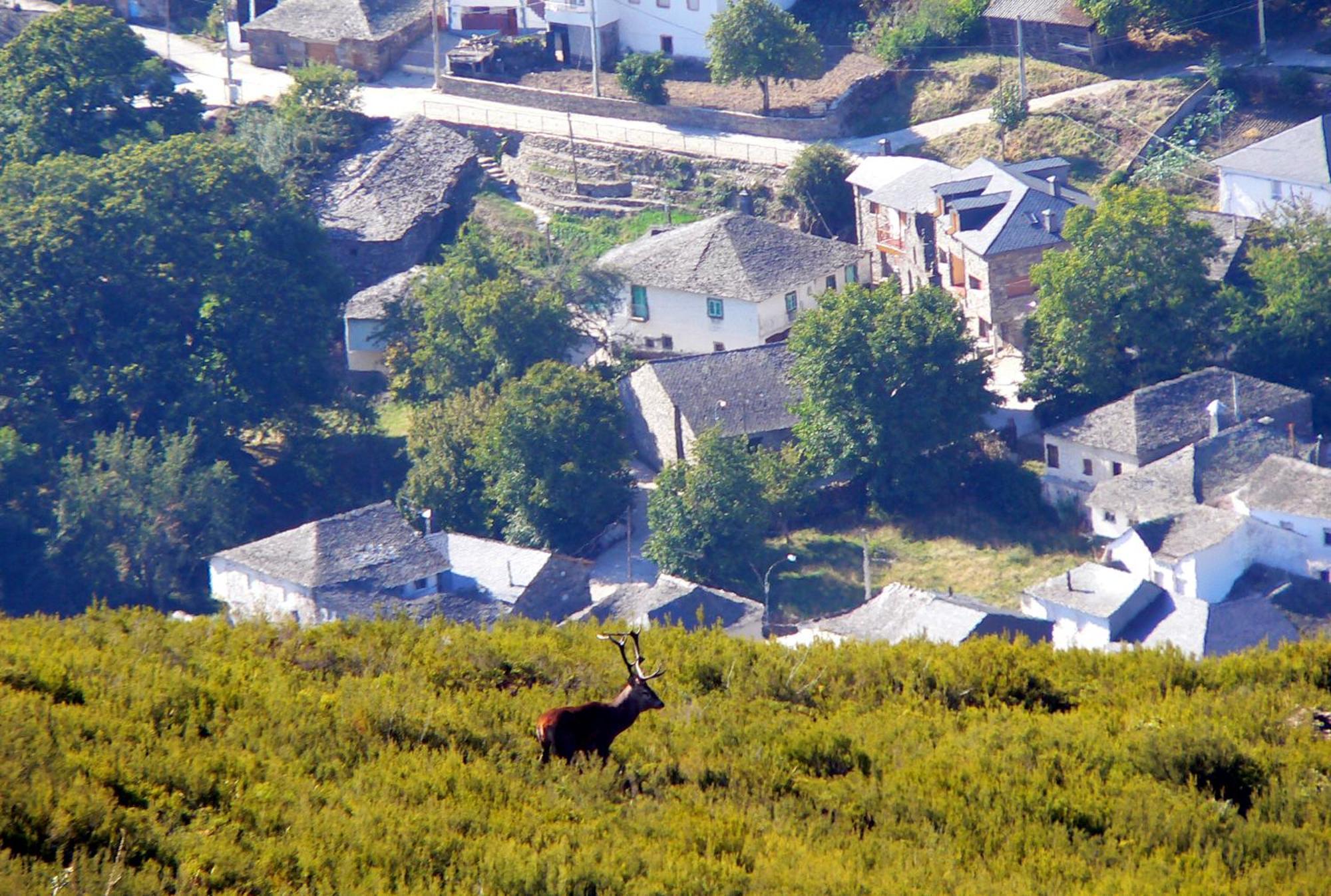 Hostel El Campano Villafranca Del Bierzo Dış mekan fotoğraf